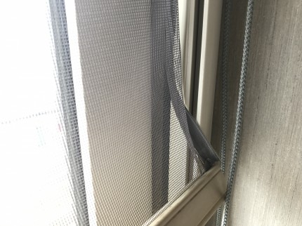 網戸交換前